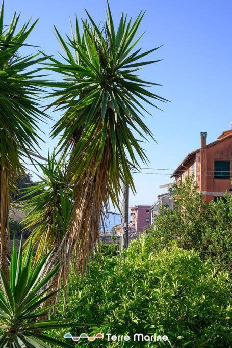 Nettuno, Terremarine Apartment Monterosso al Mare Exterior photo